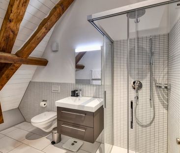 "Neues möbliertes Attika-Loft an sehr zentraler Lage in Altdorf" - Foto 3