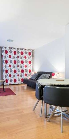 Location Appartement 1 pièce Meublé 33m² MONT DE MARSAN 40000 - Photo 1