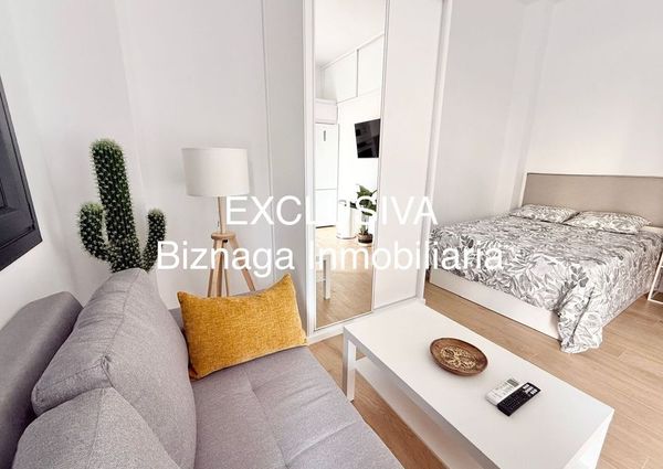 Alquiler de estudio en Avenida de España, 1