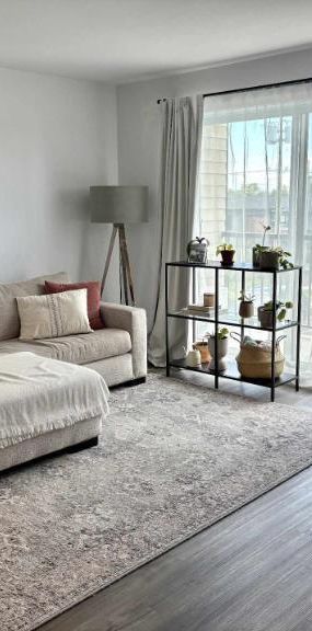 3 1/2 - Lévis - 1 200 $/mois - Photo 1