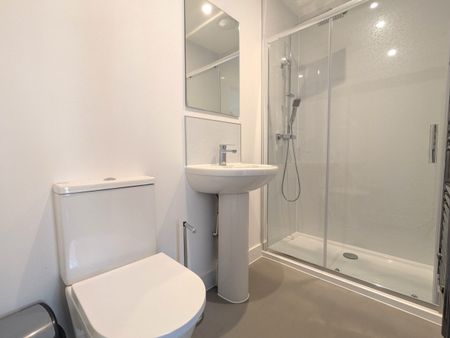 Loft Ensuite – Brand New House - Photo 4