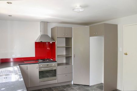 Large bottom floor apartment. 500m to Havelock CBD - Photo 4