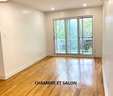 Logement 1 chambre près de Honoré Beaugrand - Photo 3