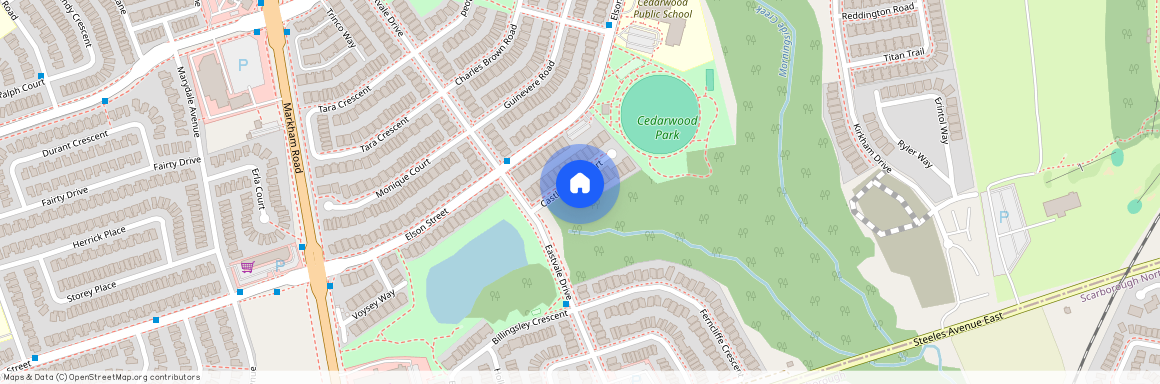 15 Castle Rock Court Unit# Bsmt, Markham