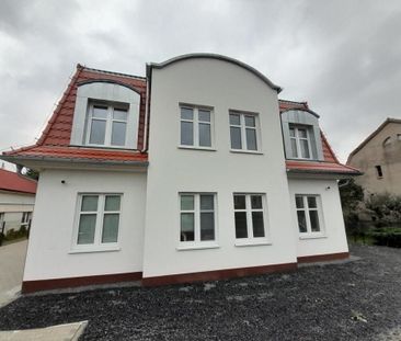 Leszczyński, Rydzyna - Photo 6