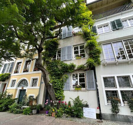 APPARTEMENT 2 PIÈCES À BÂLE - ALTSTADT/KLEINBASEL, MEUBLÉ, TEMPORAIRE - Photo 4