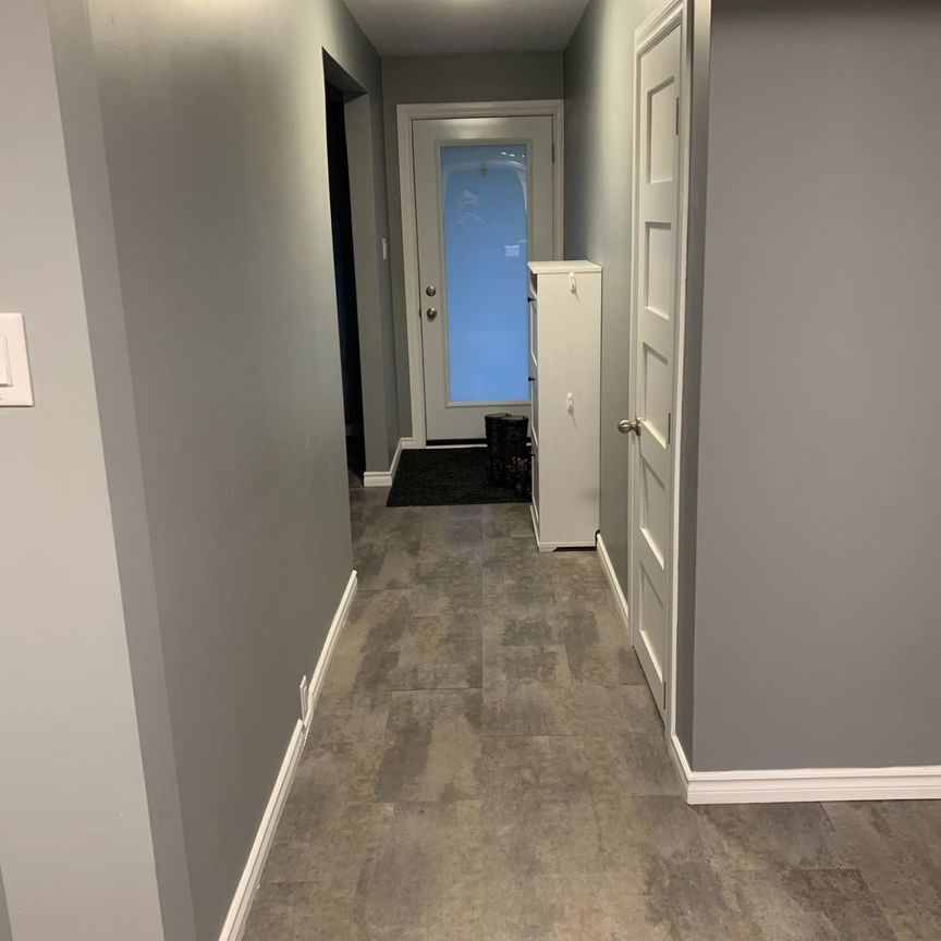 For Lease - 19 Hamel Avenue, Waterloo, Ontario - Photo 1