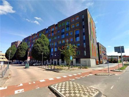 Studio Cederlaan, Eindhoven - À louer - Foto 3