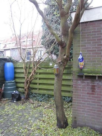 House Utrecht - Azaleastraat - Photo 3