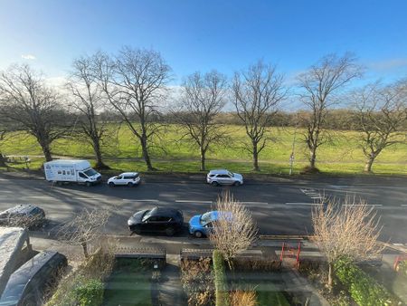 1 bedroom Apartment to let - Photo 3