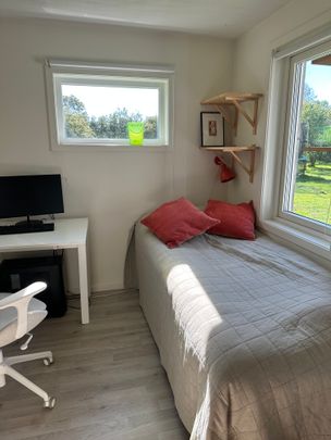 Stockrosvägen, Åsa - Photo 1