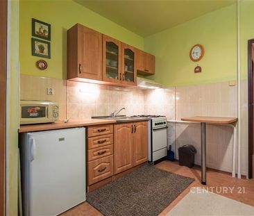 Pronájem bytu 1+1, Nový Jičín, ul.Dvořákova. - Photo 5