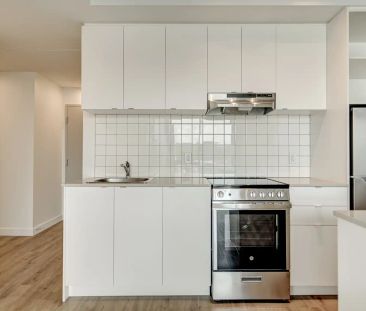 Dorchester Apartments — 1 Bedroom - Photo 1