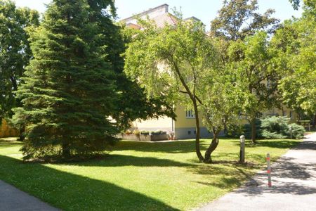 Dieses gut geschnittene Apartment ist ideal geeignet für Single oder ein Pärchen. - Foto 5