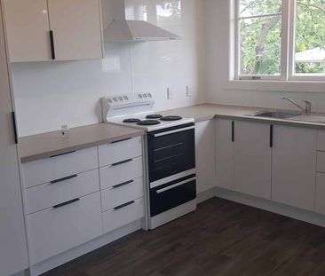 FULL RENOVATED AND READY TO GO - Photo 2