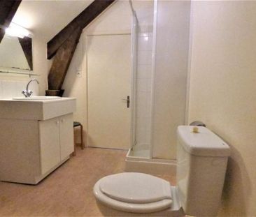 Appartement à louer, 1 pièce - Angers 49000 - Photo 4