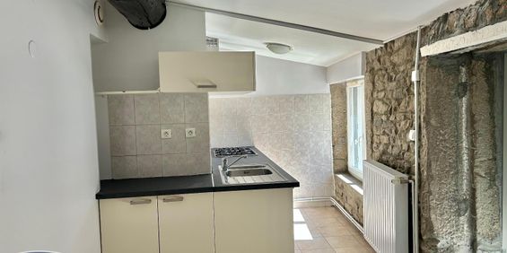 Location Appartement 3 pièces 50m² ST ETIENNE 42000 - Photo 3