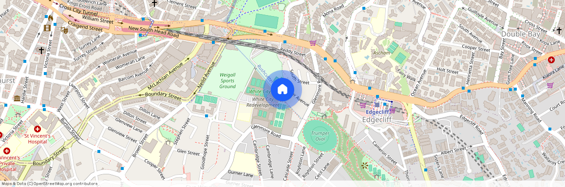 20 Walker Avenue, NSW 2027, Edgecliff