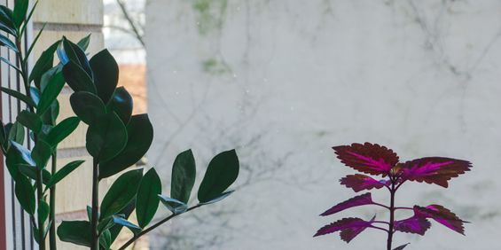 Kyrkogatan 6C - Photo 3