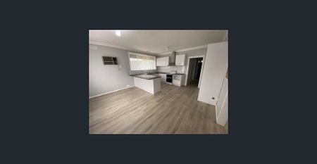 MASSIVE SHED & SOLAR EFFICIENCY - Photo 5