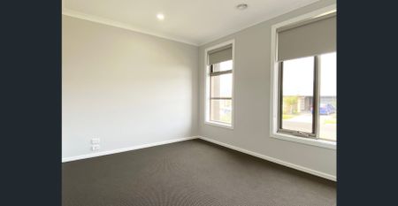 For Lease - Young & Spacious! - Photo 5