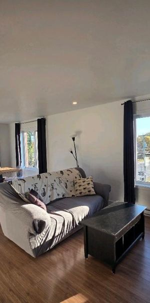 Grand 4 1/2 moderne et lumineux - Photo 1