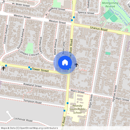 238 The River Rd, NSW 2212, Revesby