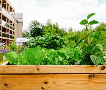 Högövägen 9 - Foto 4