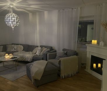 Jungfruns gata, Brandbergen - Photo 6