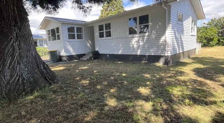 Hearty Family Home In the Heart of Henderson - Photo 4