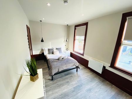 Room in a Shared House, Rectory Lane, SW17 - Photo 4