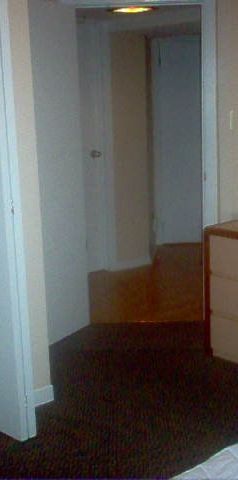 Tired of dumps? Beautiful Rm-shared-MAY 1 - Photo 1