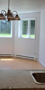 4 ½ RENOVER, Saint-Eustache avec clientèle établi de 55+ ans - Photo 4