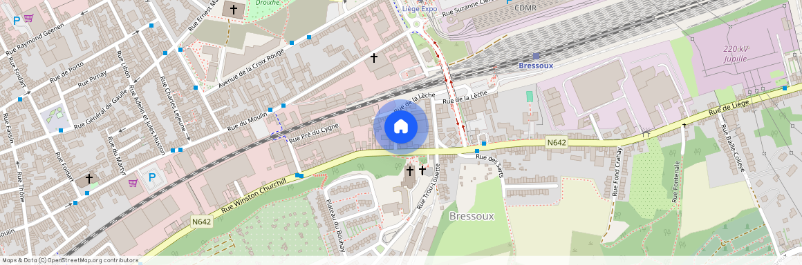 Rue de la Lèche, 44, 0012, 4020, Liège