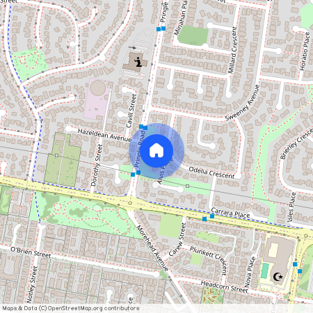 4 Alvis Place, Glendenning NSW 2761