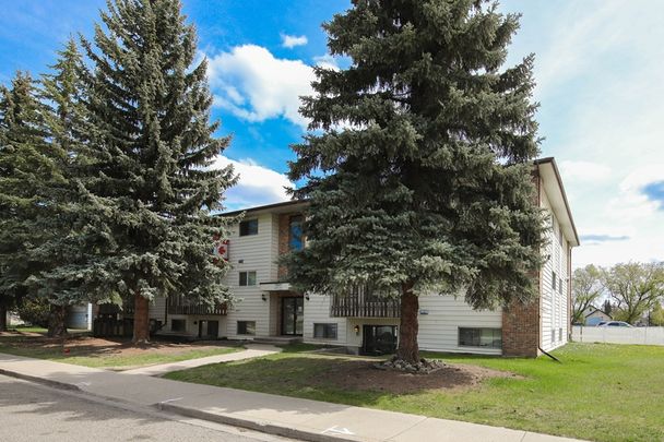1 Bedroom, Dog friendly Apartment! In Suite Laundry! - Photo 1