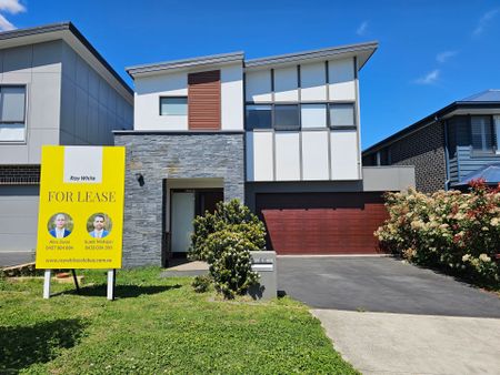 Modern and Spacious Family home in the heart of Colebee - Photo 3