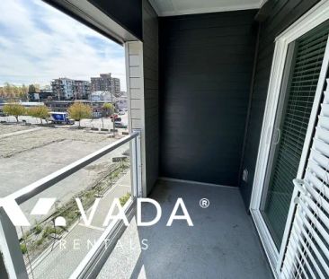 1 Bedroom Apartment For Rent in Maple Ridge - Photo 1