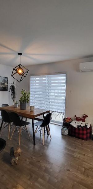 Appartement 4½ à louer - Saint-Nicolas - 1er septembre - Photo 1