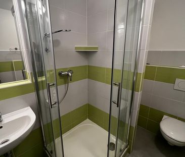 Pronájem bytu 1+kk a garsoniéry 36 m², Pod nemocnicí 585, Brno - Photo 5