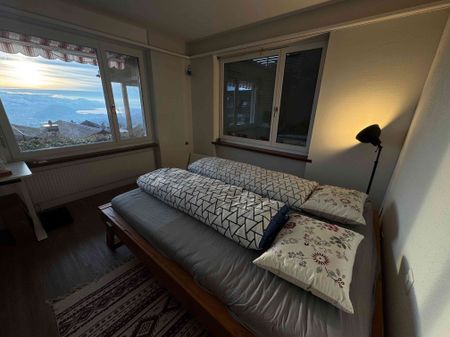 3 Zimmer, 52 m², EG - Foto 3