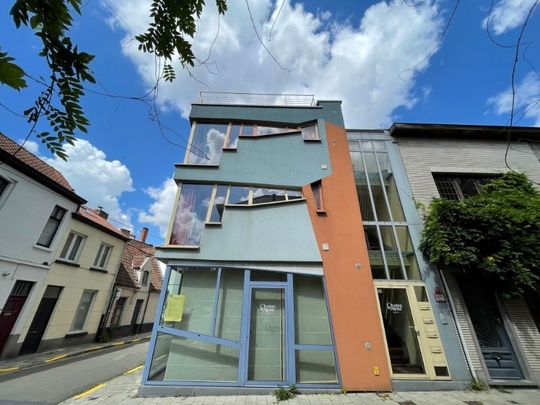 Stijlvolle studio met groot dakterras in hartje Gent - tussen Coupure en oud justitiepaleis - Foto 1