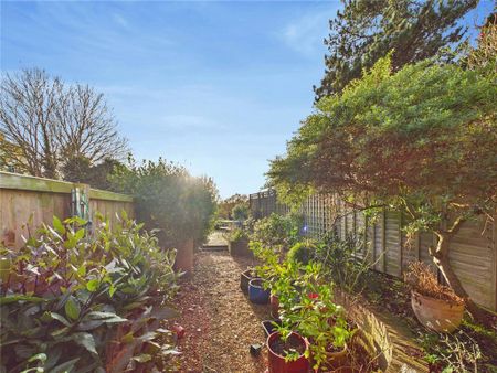 3 bedroom terraced house to rent - Photo 3