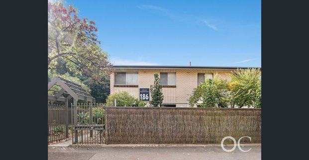 Open the Door to Cityside Sophistication - Photo 1