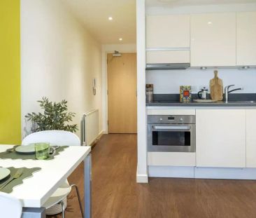 Standard Studio Gold - Photo 6