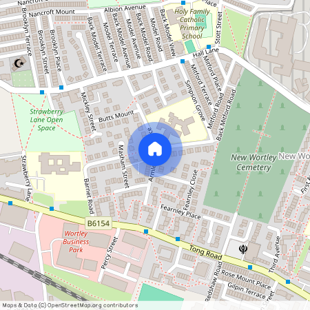 Armley Grove Place, Leeds, West Yorkshire, LS12