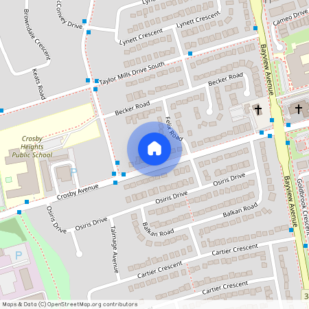 387 Crosby Avenue Unit# Bachlor-Basement, Richmond Hill