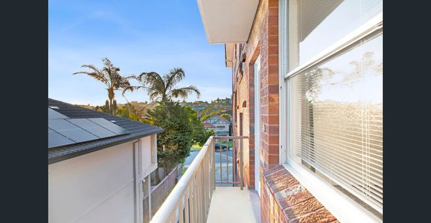 Another Successful Result By David Ibanez - Photo 1