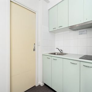 266/488 Swanston Street, Carlton VIC 3053 - Apartment For Rent | Domain - Photo 3