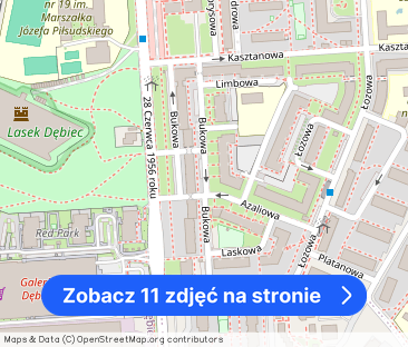 Duża kawalerka | piwnica | umeblowana - Zdjęcie 1